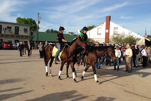 Blog_220513_Horses