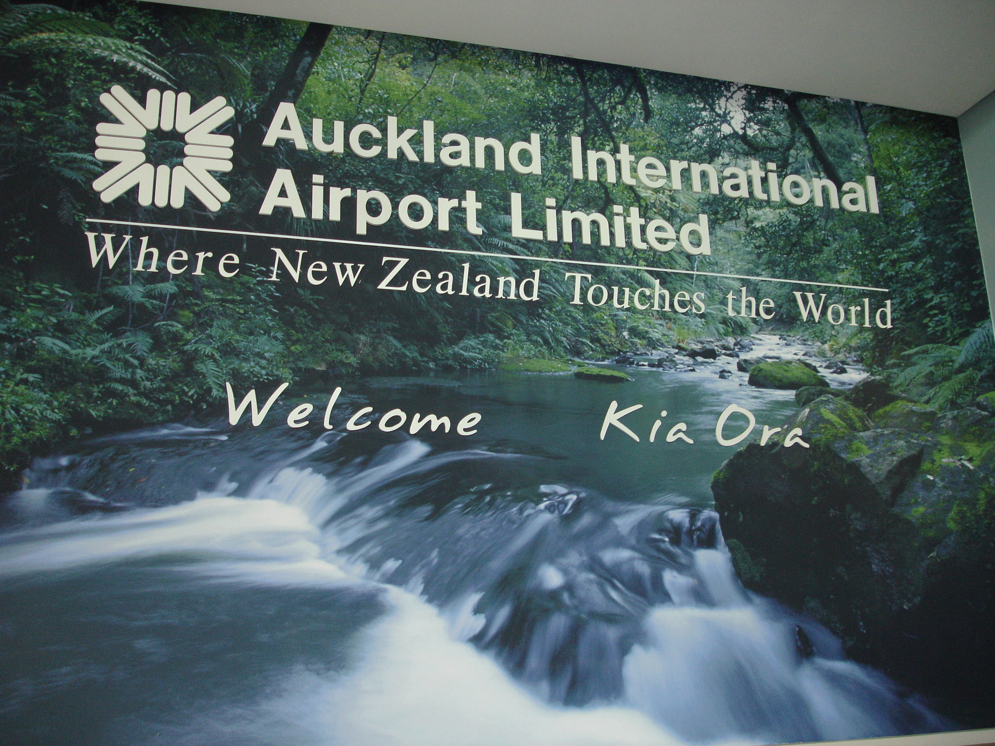 2006_1207nz1andbaa0039.JPG