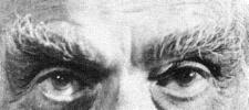 longestbrows