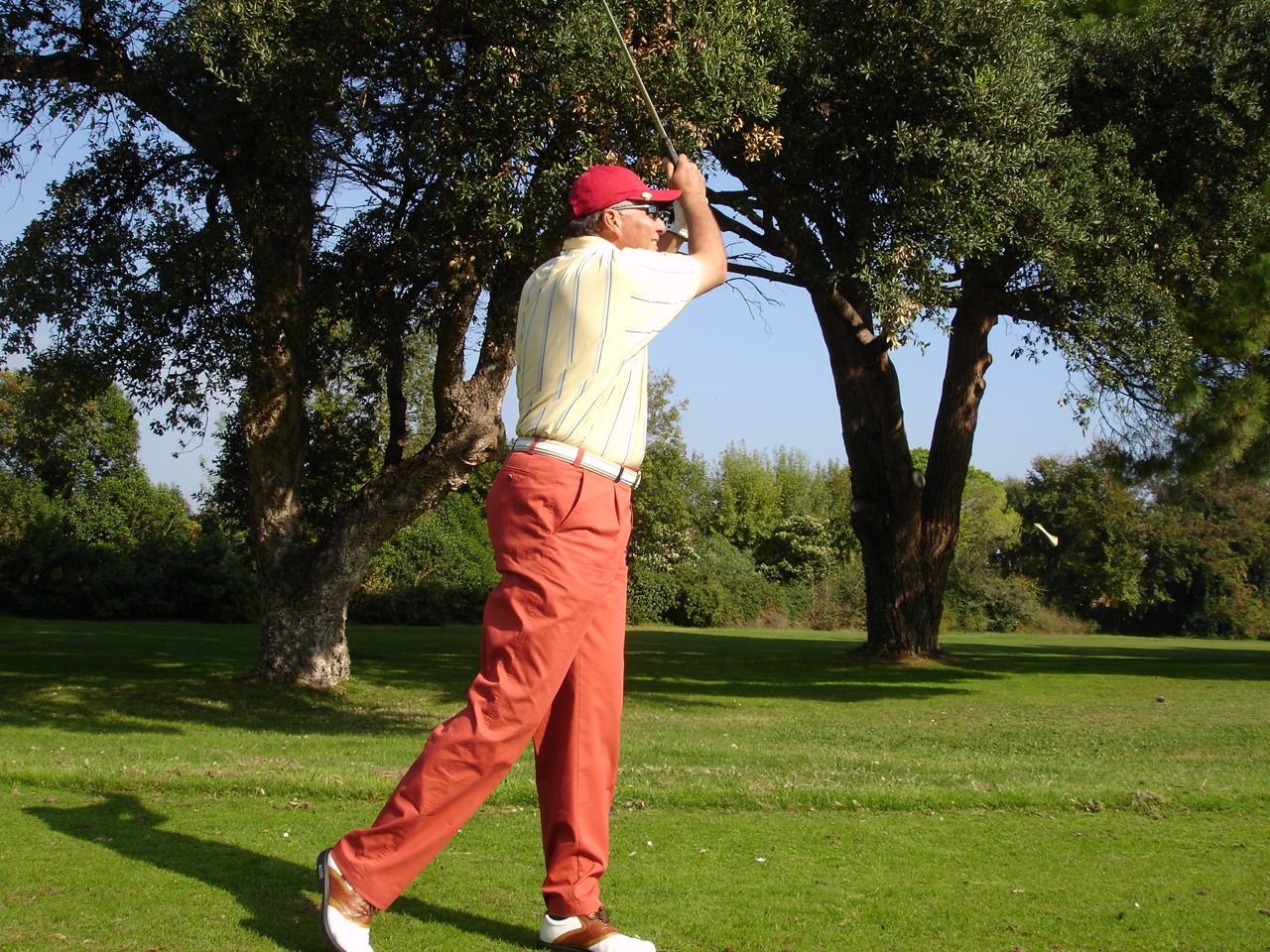 mohamed-mounib-mishit.JPG