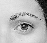 shortbrows