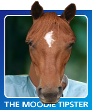 blog_horse blog_horse