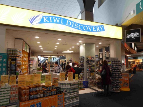 Kiwi discovery_Small Kiwi discovery_Small