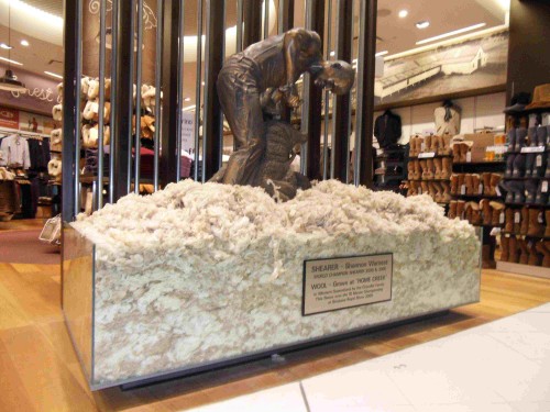 Sheep sydney_Small Sheep sydney_Small