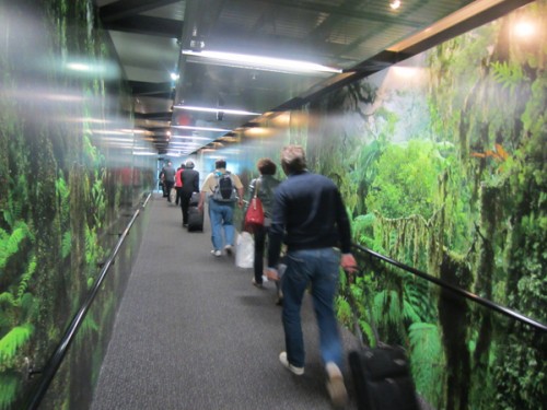 3. Arrival NZ