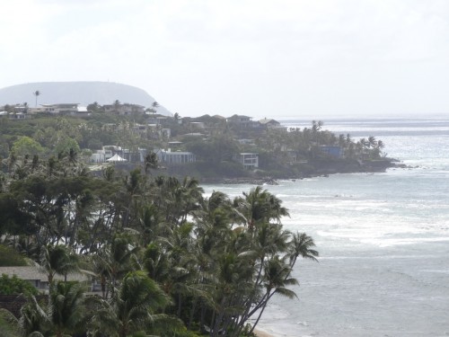 Hawaiian heads