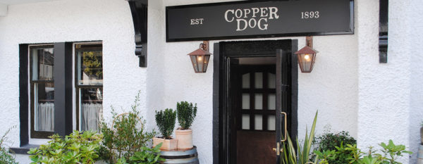 H copper dog